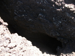 otta delle femmine di monte Nero-12-05-2013 11-52-33